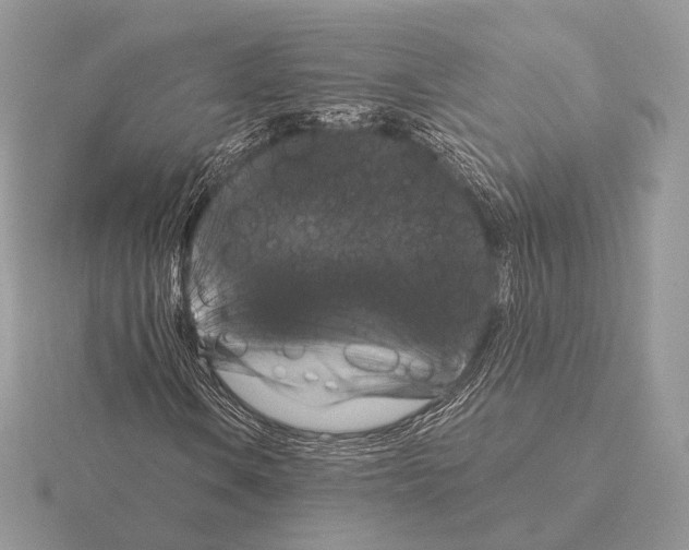 X0000115321106200912141152