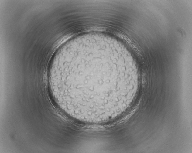 X0000115321113200912141152