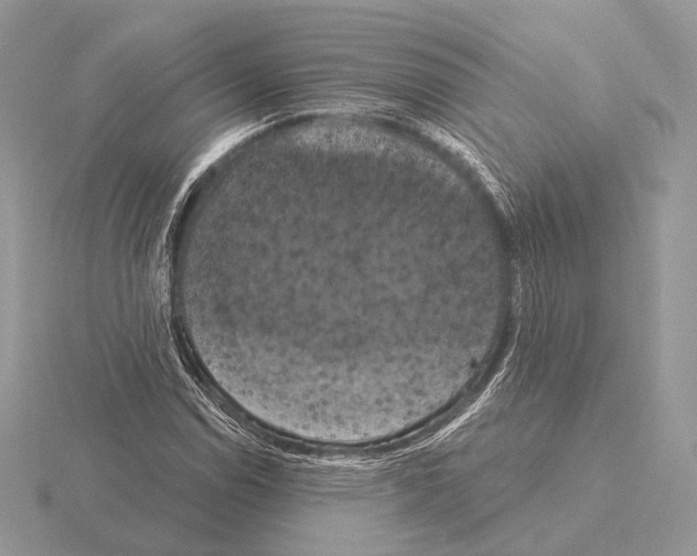 X0000115321114200912141152