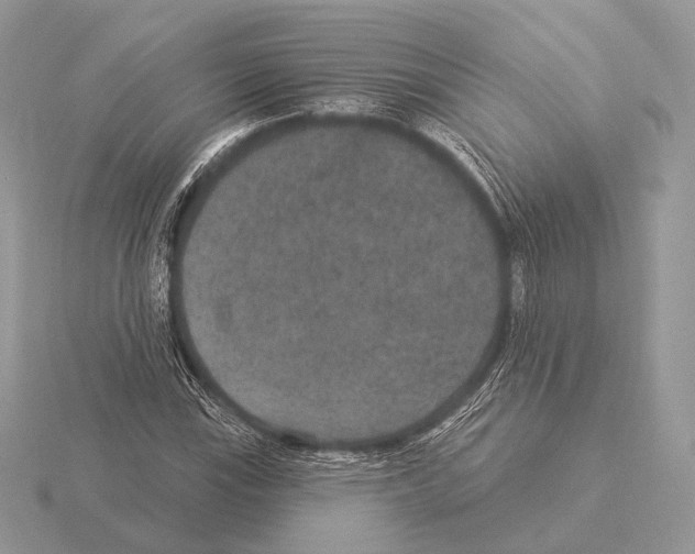 X0000115321115200912141152