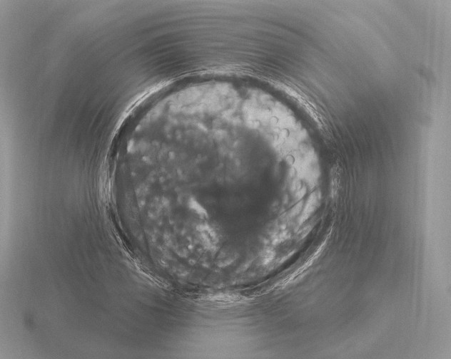 X0000115321117200912141152