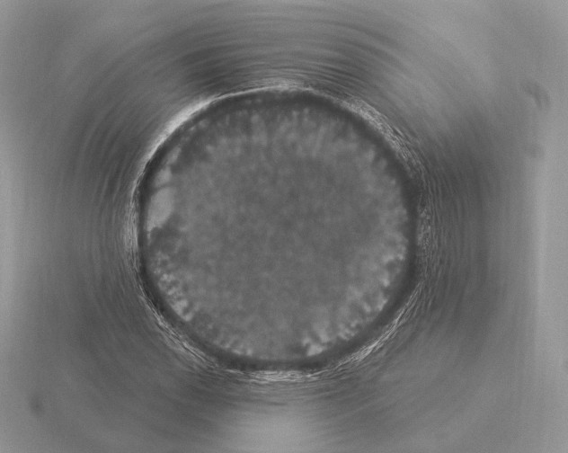 X0000115321118200912141152