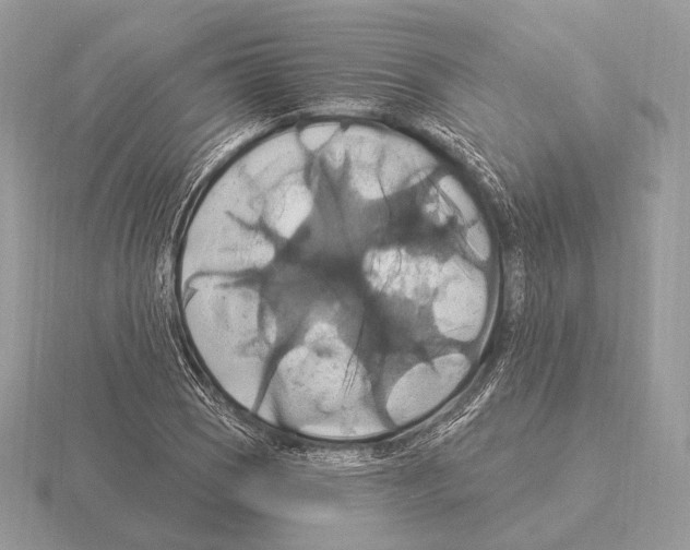 X0000115321121200912141152