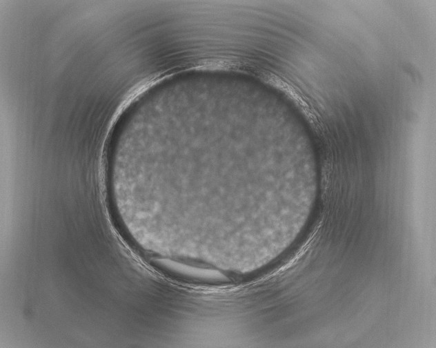 X0000115321122200912141152