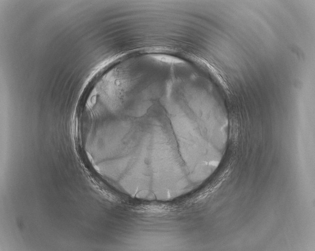 X0000115321125200912141152