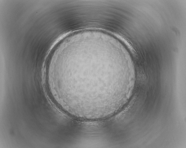 X0000115321126200912141152