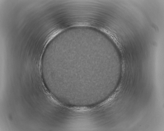 X0000115321129200912141152