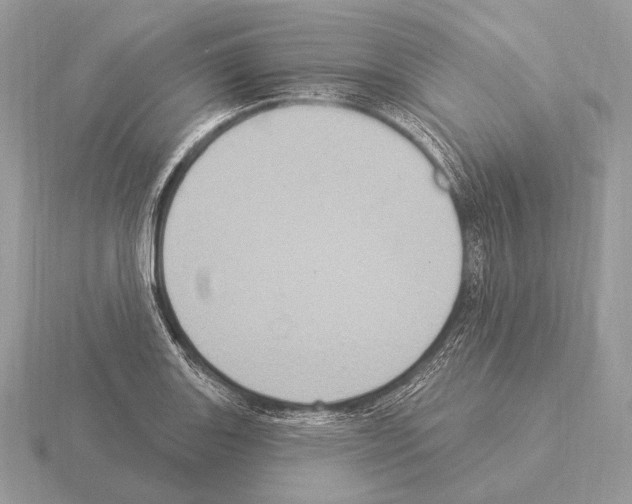 X0000115321131200912141152