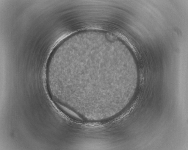 X0000115321133200912141152