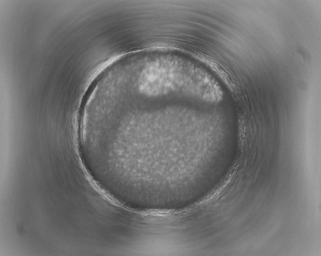 X0000115321134200912141152