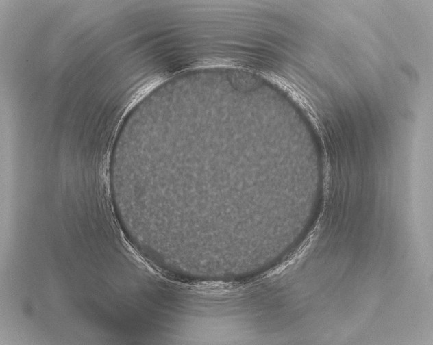 X0000115321137200912141152