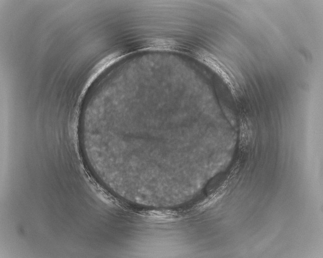 X0000115321138200912141152