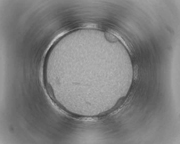 X0000115321139200912141152