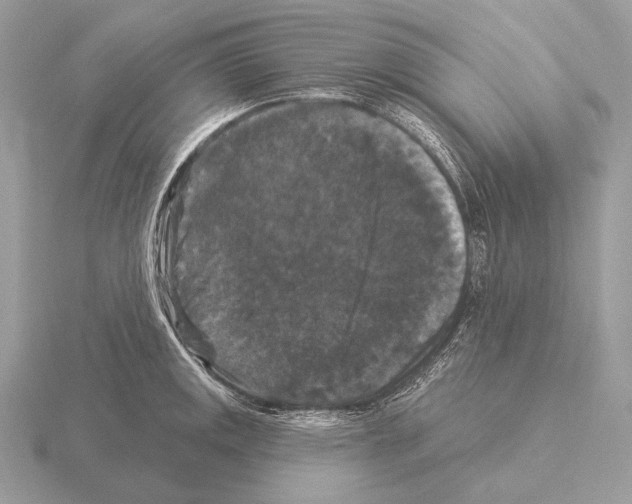 X0000115321141200912141152