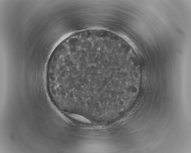 X0000115321142200912141152