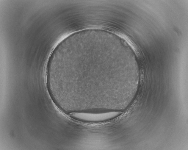 X0000115321143200912141152