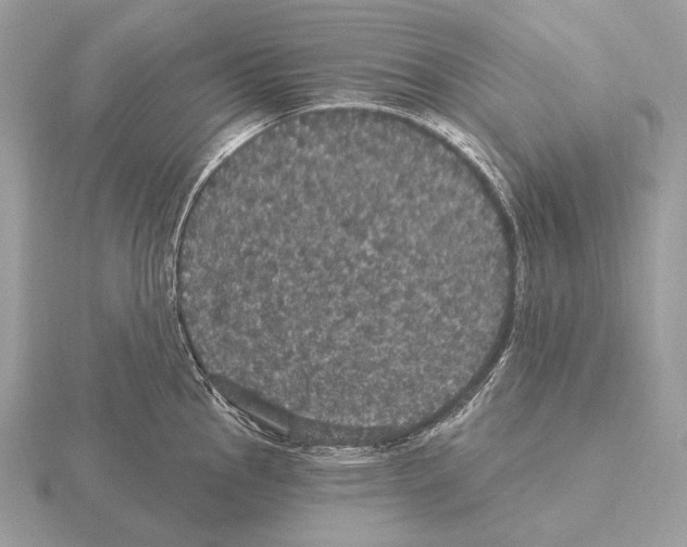 X0000115321145200912141152