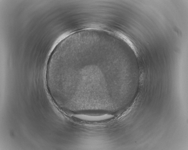 X0000115321146200912141152