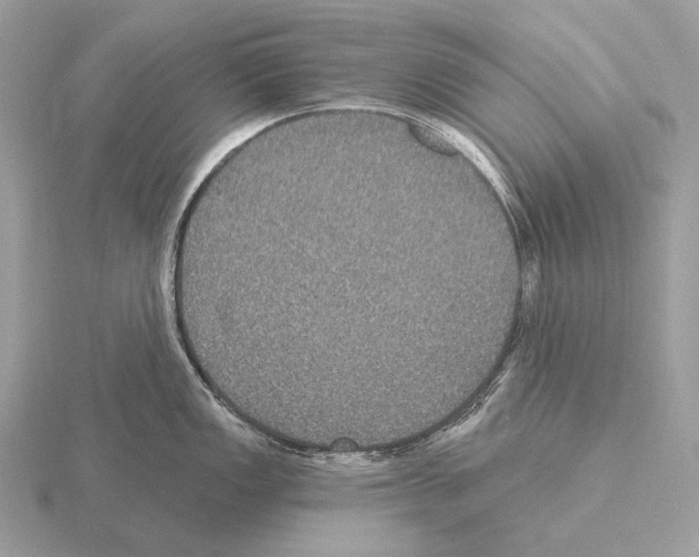 X0000115321149200912141152