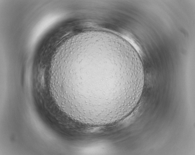 X0000115321150200912141152