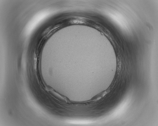 X0000115321151200912141152