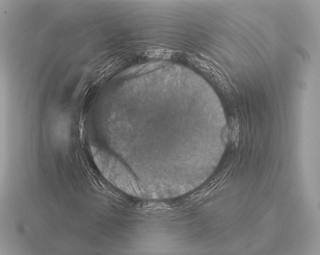 X0000115321154200912141152