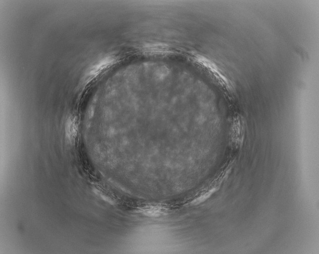 X0000115321157200912141152