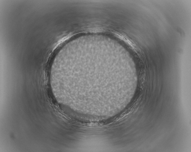 X0000115321160200912141152