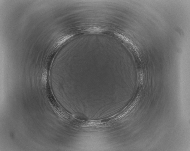 X0000115321161200912141152