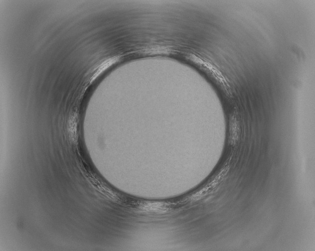 X0000115321162200912141152