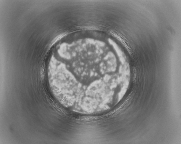 X0000115321163200912141152