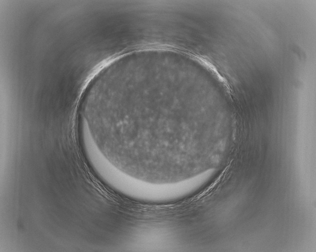 X0000115321167200912141152