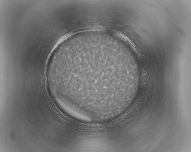 X0000115321168200912141152