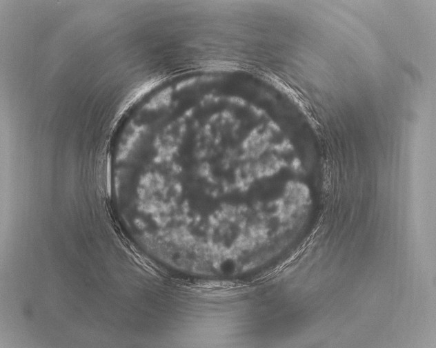 X0000115321171200912141152