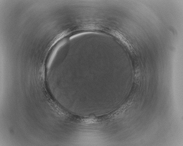 X0000115321173200912141152