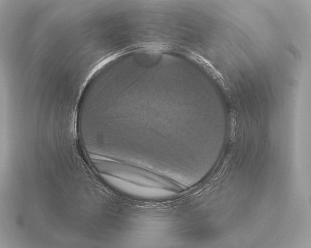 X0000115321174200912141152