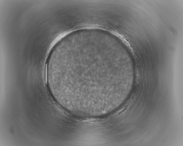 X0000115321175200912141152