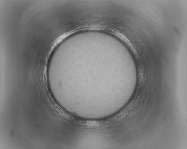 X0000115321176200912141152