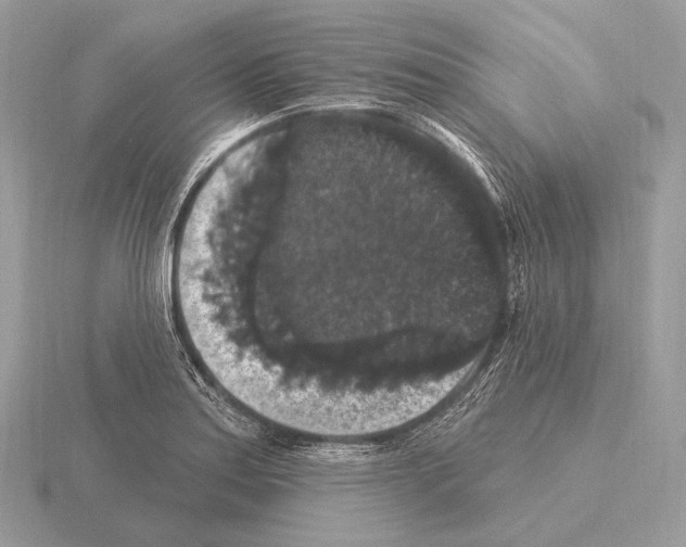 X0000115321179200912141152