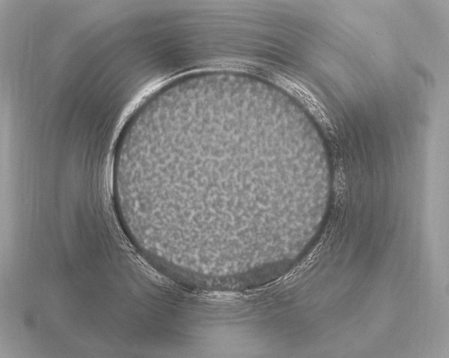 X0000115321180200912141152