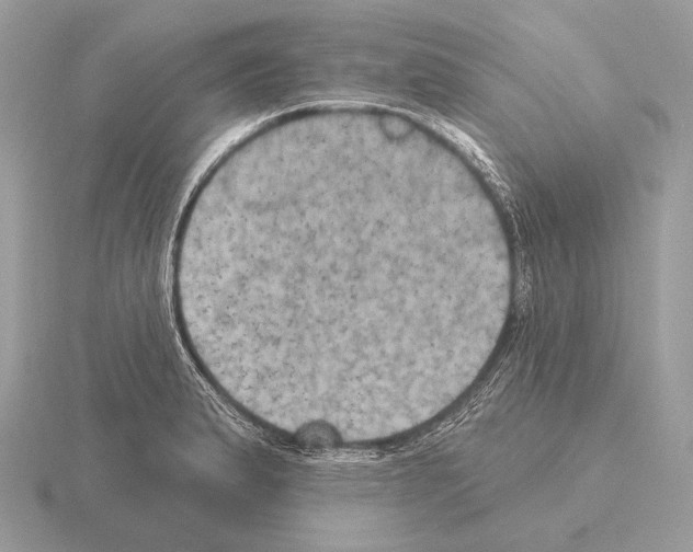 X0000115321183200912141152