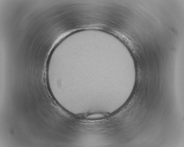 X0000115321184200912141151