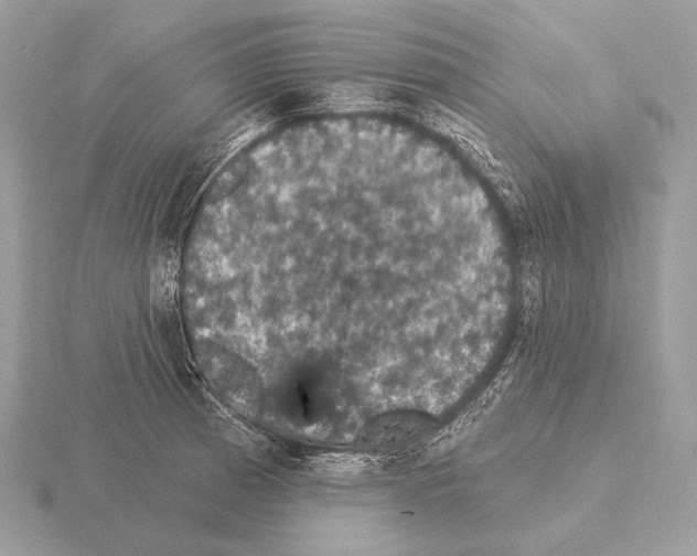 X0000115321185200912141151