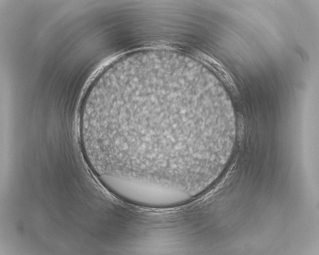 X0000115321188200912141151