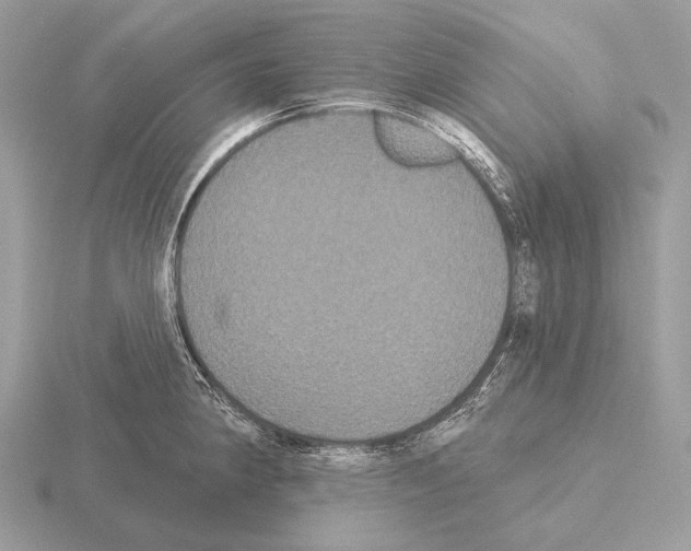 X0000115321190200912141151