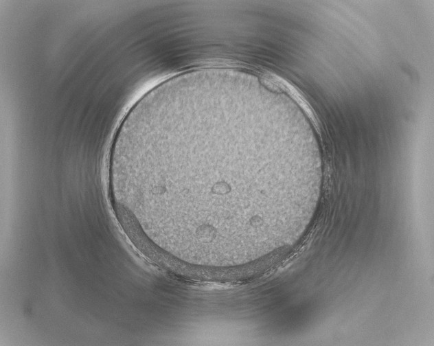 X0000115321195200912141151