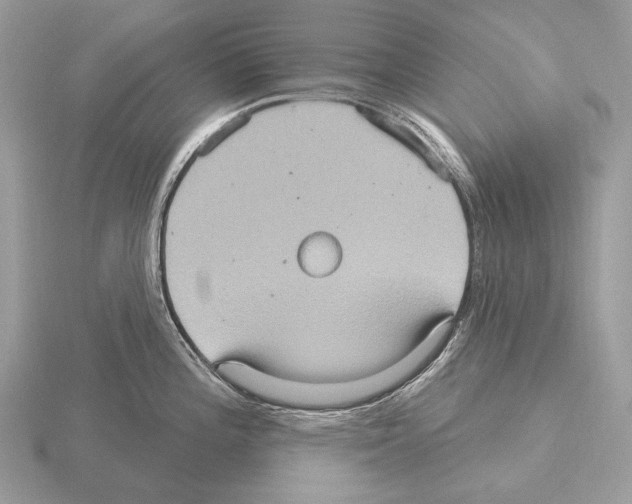 X0000115321196200912141151