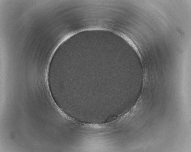 X0000115321197200912141151