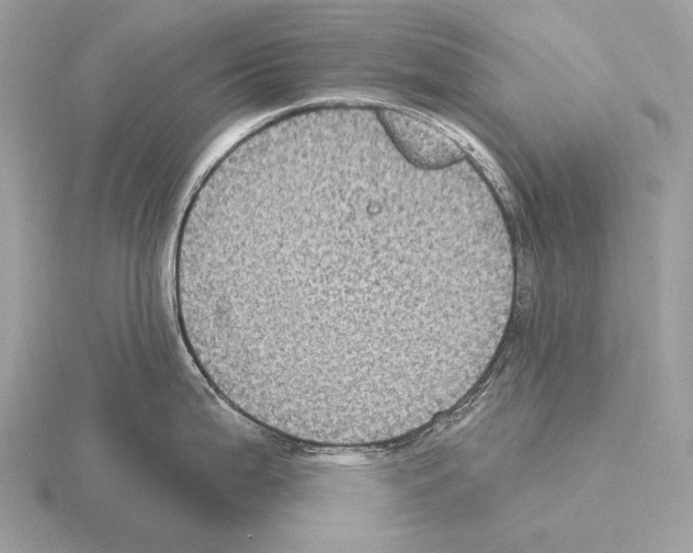 X0000115321199200912141151