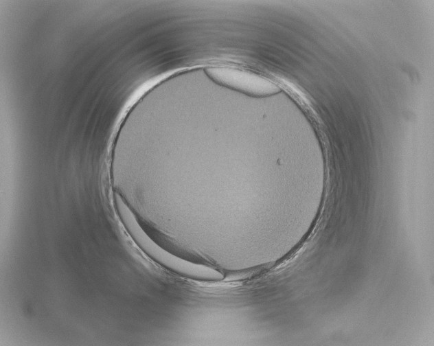 X0000115321200200912141151